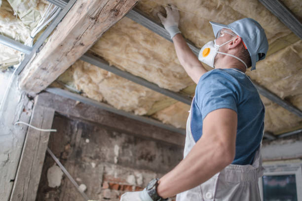 Best Spray Foam Insulation in Moroni, UT