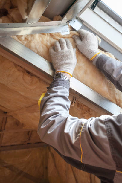 Best Specialized Insulation Services in Moroni, UT