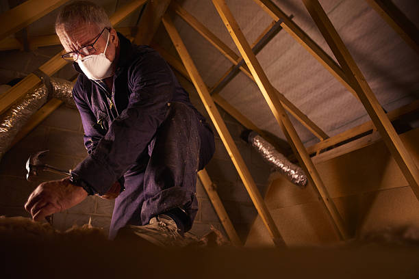 Trusted Moroni, UT Insulation Contractor Experts